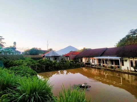 Fish pond Foto stock