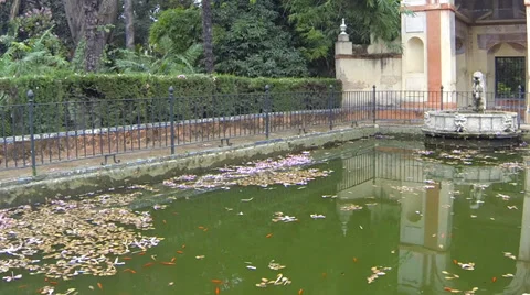 Fish Pond in Spain Stock Footage 36034463