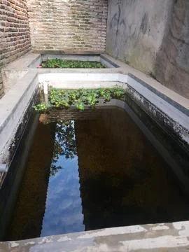 Fish pond using cement with cloudy water Stock Photos