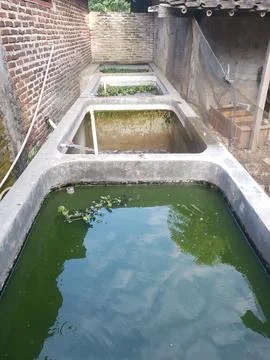 Fish pond using cement with cloudy water Foto stock