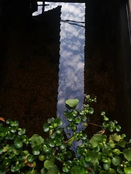 Fish pond using cement with cloudy water Stock Photos