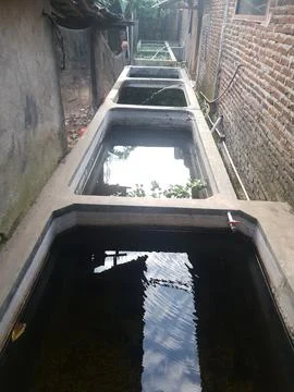Fish pond using cement with cloudy water Stock Photos