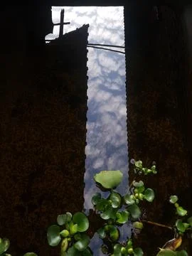 Fish pond using cement with cloudy water Stock Photos