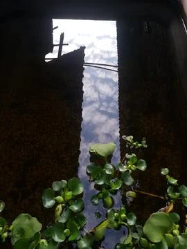 Fish pond using cement with cloudy water Stock Photos