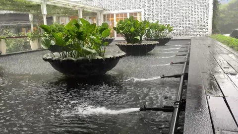Fish pond when raining, with plants and water pump or jet pump Stock Footage 287309264