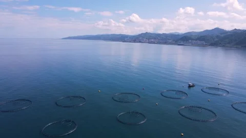 Fish Ponds in the Blacksea Vidéo 334420381