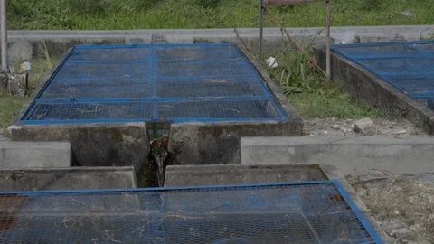Fish ponds in india . Stock Footage 127223969