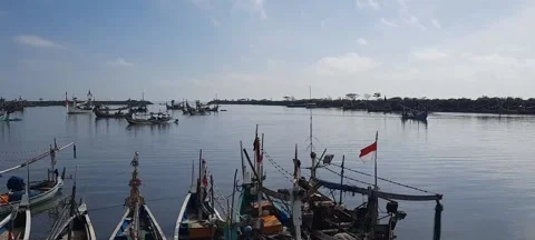 Fish port activity Stock Footage 211786134