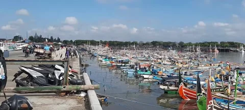Fish Port Stock Footage 211785738