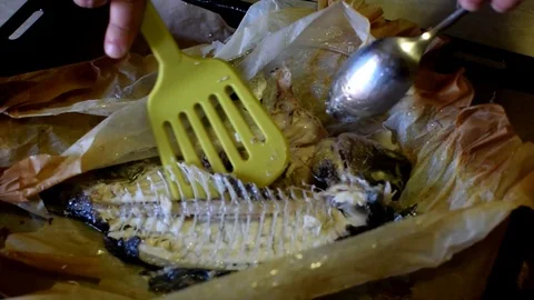 Fish preparation cooking Video stock 76036032