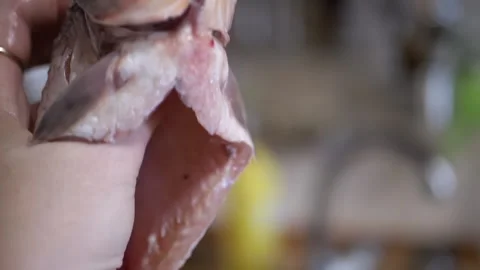 Fish Preparation Techniques Capturing Perfect Fresh Cuts for Culinary Use and Stock Footage 312014943