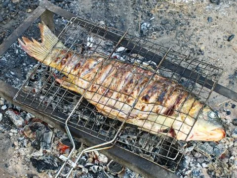 Fish is preparing on grill. Stock-Fotos