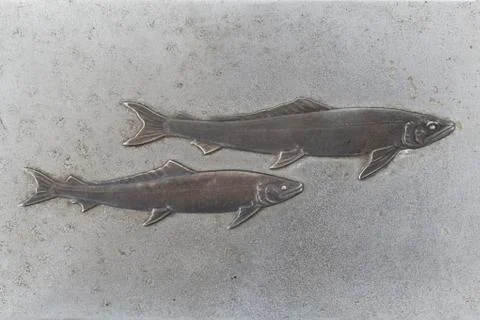 Fish print on silver Stock Photos