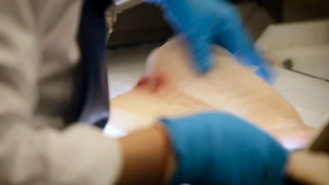 Fish Processing. Employee Cutting With Knife, Cleaning Slice of Meat. Worker in Stock Footage 73902222