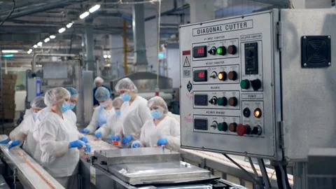 Fish-processing factory unit with the staff at work. Food processing factory Stock Footage 117925490