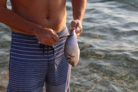 Fish processing / Fish processing outdoors. Detail. Stock Photos