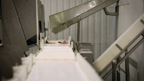 Fish Processing Line. Piece of Salmon Moving on Conveyer. Equipment Stopping Video stock 73895700