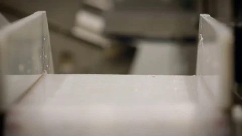 Fish Processing Line. Salmon Skin Moving on Conveyer, Falling Down. Closeup Stock Footage 73898114