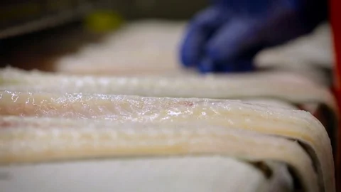 Fish Processing Line. Worker in Uniform Putting Pieces of Salmon on Table Flat. Stock Footage 73897342