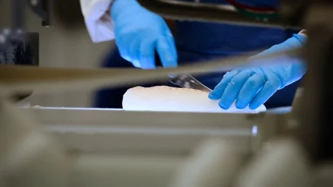 Fish Processing Line. Worker in Uniform Cutting Slice of White Meat, Removing Video stock 73901845