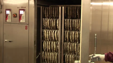 Fish processing plant. Fish of cold (hot) smoked Video stock 24951105