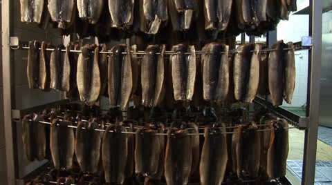 Fish processing plant. Fish of cold (hot) smoked Stock-Footage 24951782