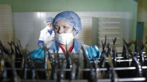 Fish processing plant. Fish of cold hot smoked. Sea food manufacture, fish farm Stock Footage 125858066