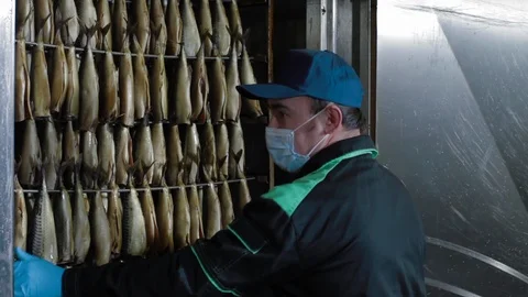Fish processing plant. Fish of hot smoked. Fish processing plant. Sea food Stock Footage 125857703