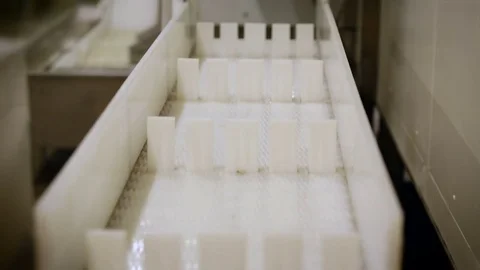 Fish Processing Plant. Pieces of Fish on Line. White Plastic. Conveyer With Stock Footage 73902689