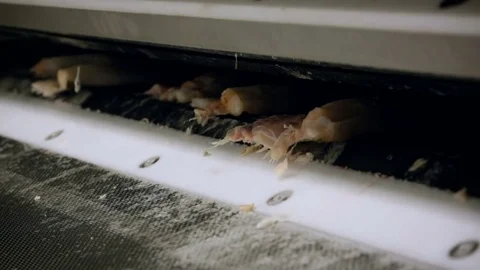 Fish Processing Plant. Pieces of Raw Cool Salmon Coming Out of Machine, Sliding Stock Footage 73897599