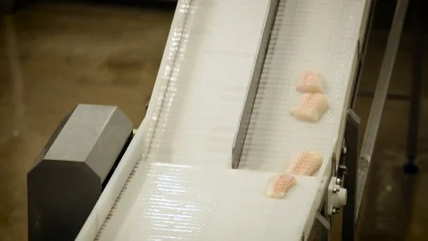Fish Processing Plant. Pieces of Salmon Moving up on Conveyer. Male Worker Stock Footage 73899785