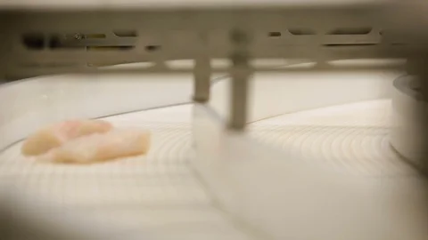 Fish Processing Plant. Pieces of Salmon Monving on Two Line Conveyer, Turning. Stock Footage 73901050