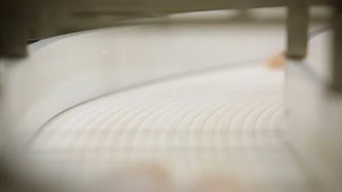 Fish Processing Plant. Pieces of Salmon Monving on Conveyer, Turning. Slices of Video stock 73901119