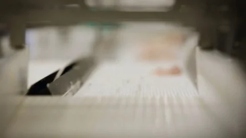 Fish Processing Plant. Pieces of Salmon Monving on Conveyer Away. Worker in Video stock 73901213