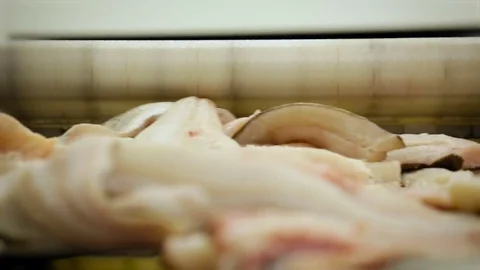 Fish Processing Plant. Pile of Salmon Meat Pieces Rotating on Conveyer, Falling Stock Footage 73901450