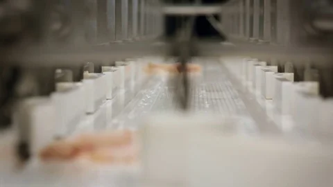Fish Processing Plant. Portions of Salmon Meat in White Containers Moving on Stock Footage 73900489