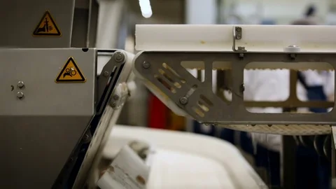 Fish Processing Plant. Salmon Moving on Conveyer, Falling Down. Chain Turning Stock Footage 73900599