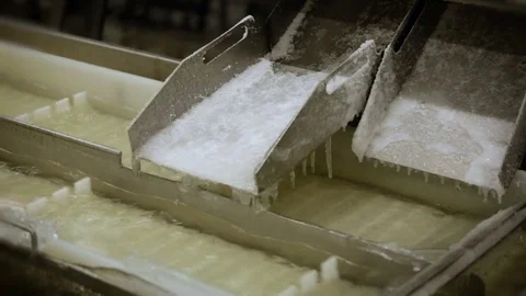 Fish Processing Plant. Washing. White Plastic Conveyer in Two Lines Moving in Stock Footage 73902401