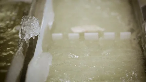 Fish Processing Plant. Washing. White Plastic Conveyer Moving in Water. Pieces Stock Footage 73902519