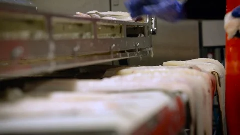 Fish Processing Plant. Worker in Uniform Taking Pieces of Salmon From Conveyer Video stock 73897087