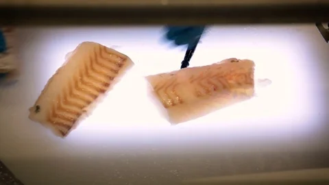 Fish Processing. Preparation Table. Worker Cleaning, Cutting Piece of Salmon Video stock 73900062