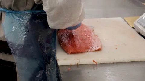 Fish processing worker deboning fish meat with tool on table Stock Footage 318432900
