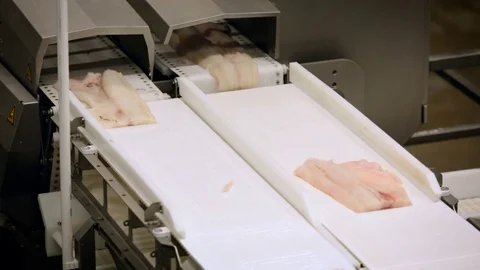 Fish Processing Workshop. Pieces of Salmon Moving on White Plastic Conveyer. Stock Footage 73898308