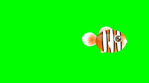 Fish Professional on Chroma Key for Compositing Video stock 336959288
