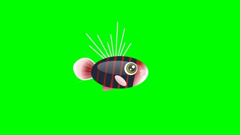 Fish Professional on Green Screen Chroma Key Background Video stock 336959186