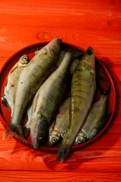 Fish. Raw fish on red background. Fish on a red wooden plate on the table Stock Photos