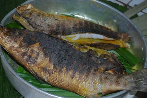 Fish that is ready to be grilled Stock Photos