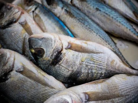 Fish ready for cooking Stock Photos
