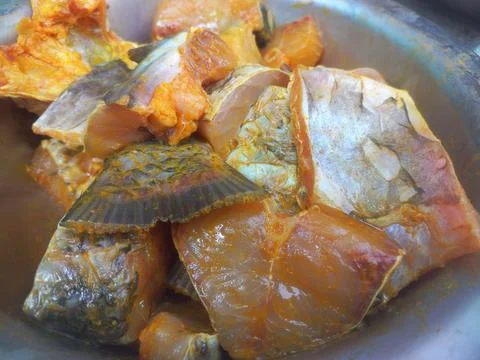 The fish is ready for frying Stock Photos