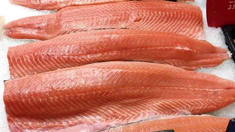 Fish Red fillet in the refrigerator Stock Footage 259710817